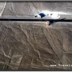 Photo: Nazca Observation Tower is on Side of Pan American Highway, Between Geoglyphs of Tree and Hands
