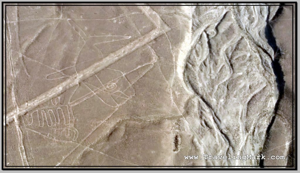 Photo: Different Angle View of Whale (Ballena) Image at Nazca