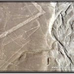 Photo: Different Angle View of Whale (Ballena) Image at Nazca
