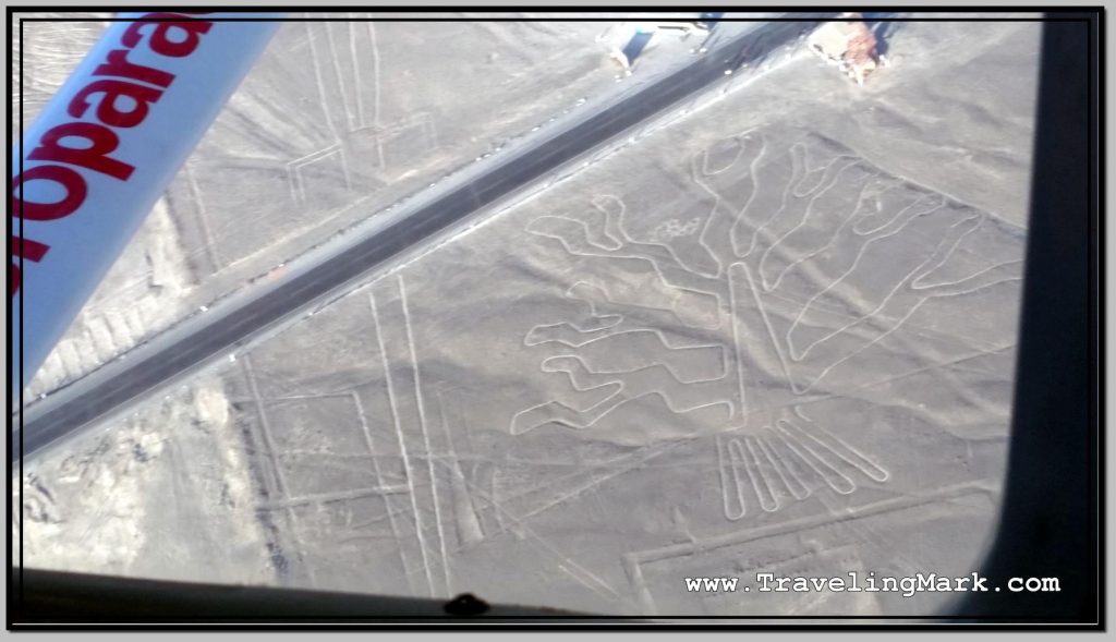 Photo: Nazca Lines Aerial Image of Tree (Arbol)