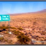 Photo: Road Sign Warns of Wild Roaming Vicunas