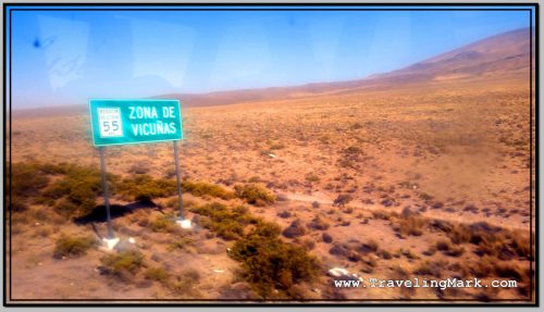 Photo: Road Sign Warns of Wild Roaming Vicunas Photo: Road Sign Warns of Wild Roaming Vicunas
