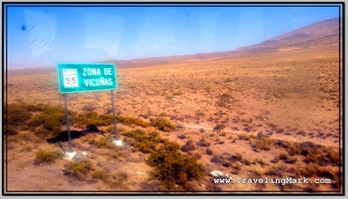 Photo: Road Sign Warns of Wild Roaming Vicunas