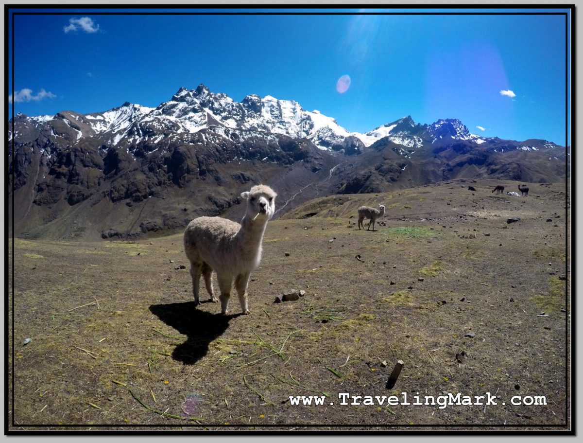 Buying Rainbow Mountain Tour in Cusco While Staying at El Viajero