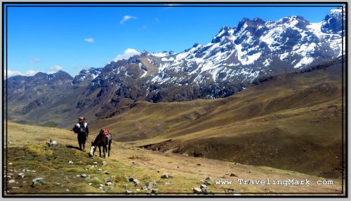 Photo: Those Not Fit Enough to Hike Up the High Elevation Trail, Can Use Services of the Many Horsemen with Horses