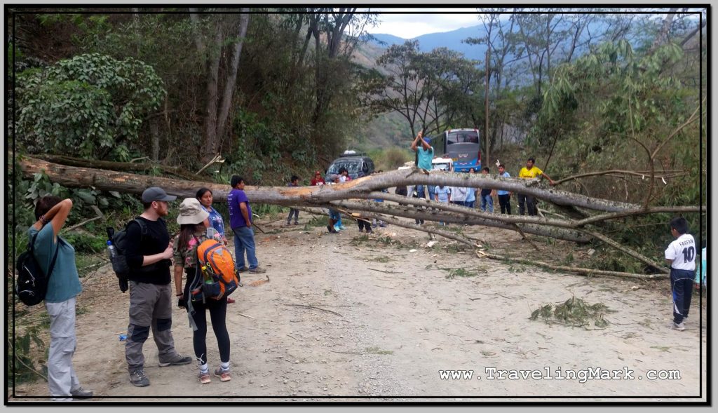 Photo: Fell Tree Used as Road Block on Dirt Road Between Santa Maria and Santa Teresa - Drivers Tried to Remove It with an Axe