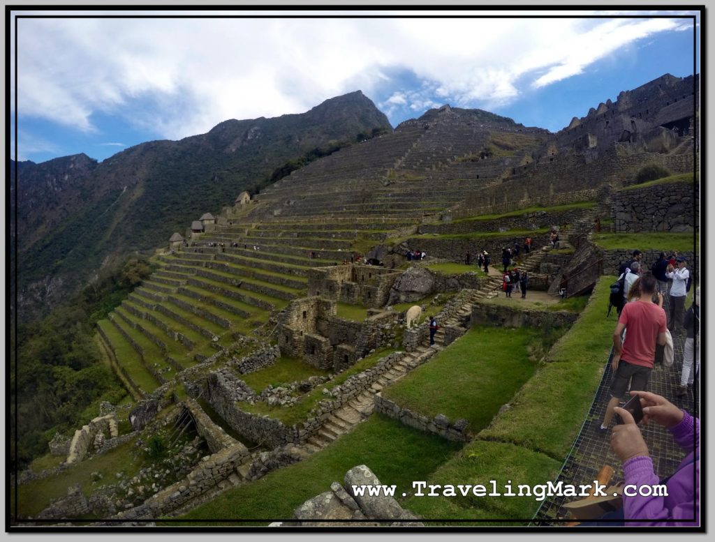 Photo: Machu Picchu Agricultural Sector