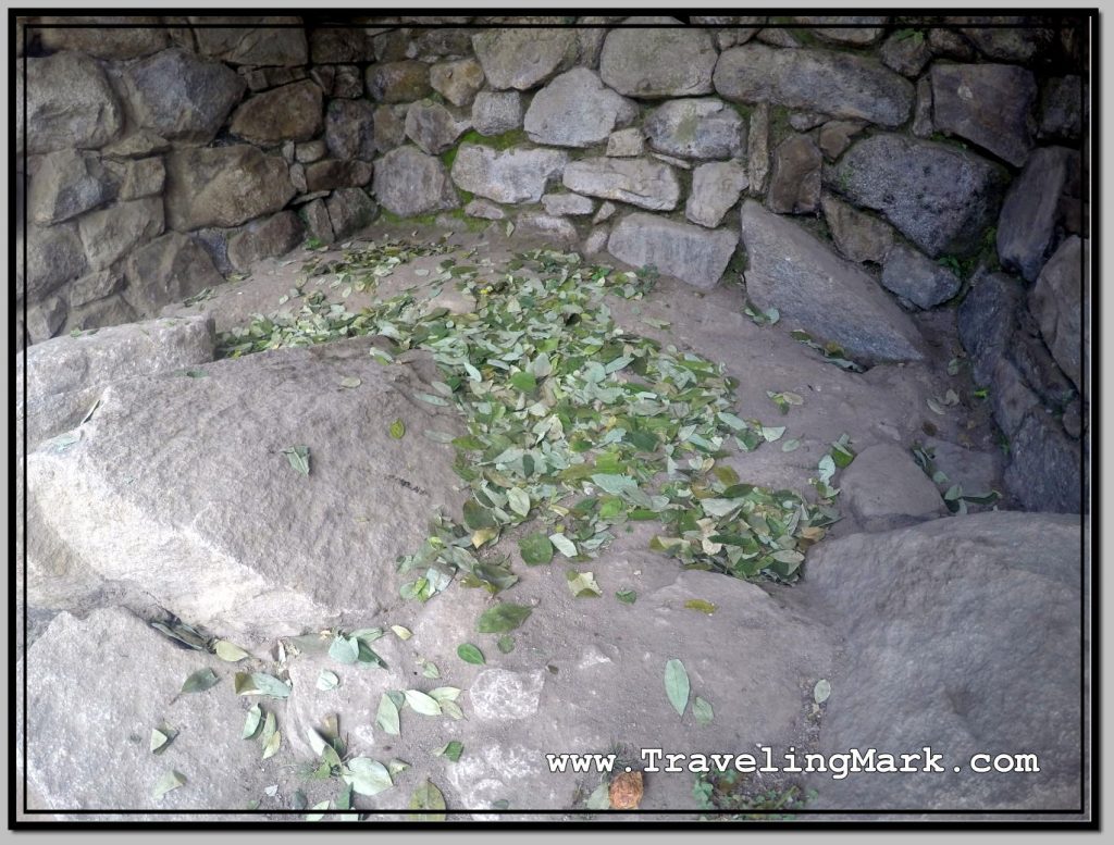 Photo: Coca Leaves Offering at Machu Picchu