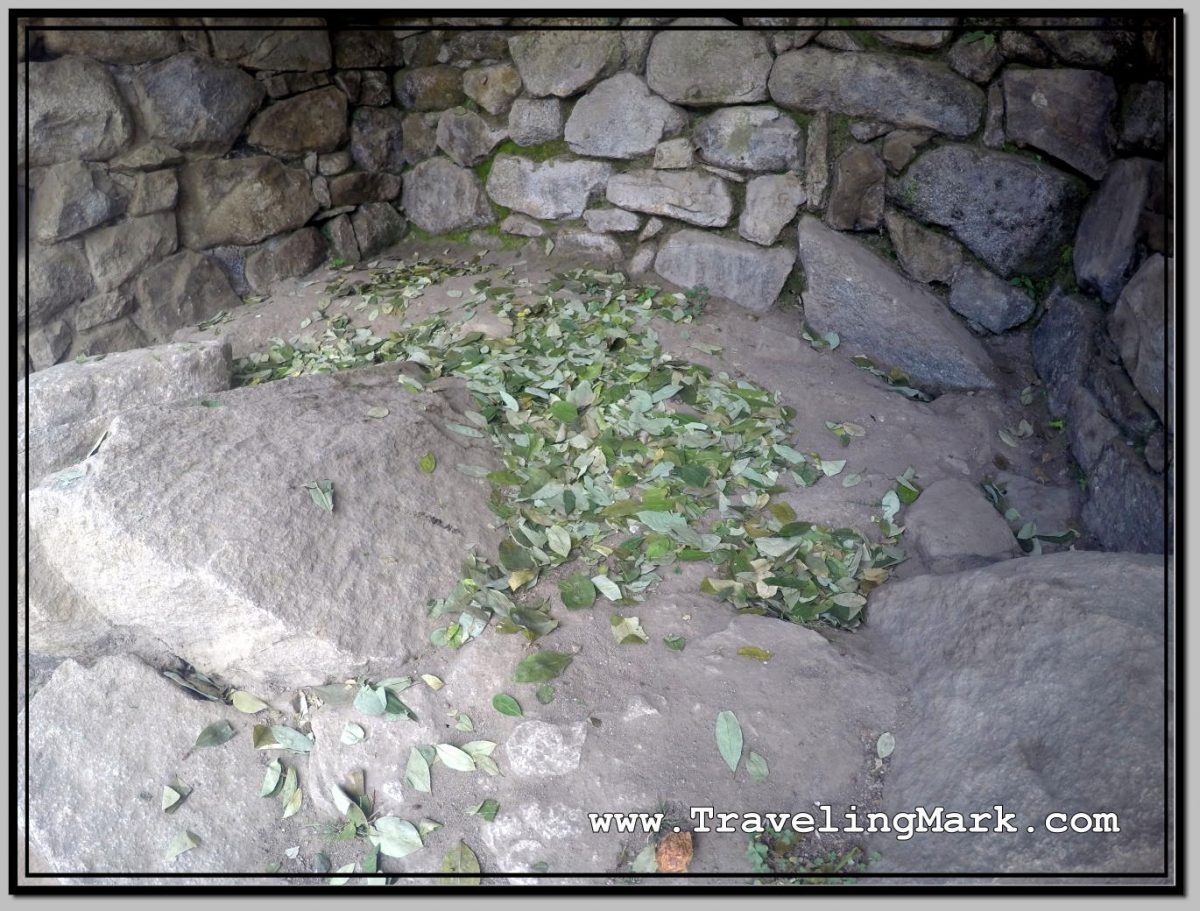 Photo Coca Leaves Offering at Machu Picchu Traveling Mark