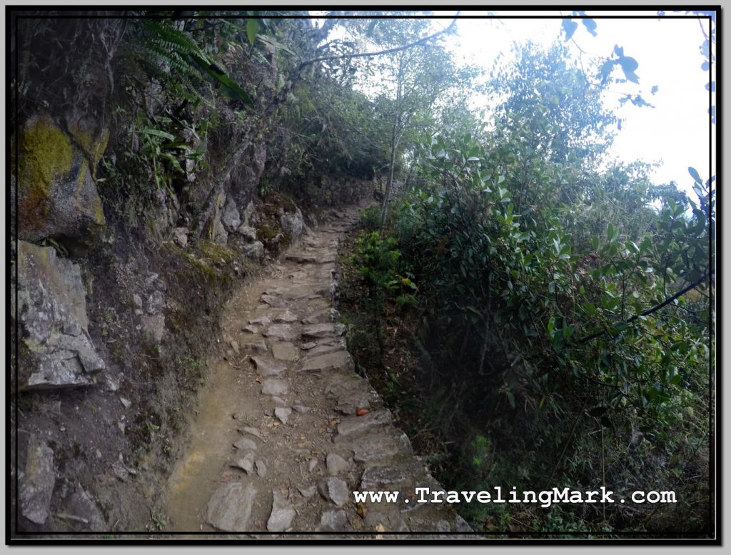Photo: Trail to the Inca Bridge Is a Stone Path on Sheer Cliff But Seems Safe Due to Foliage or Barriers