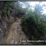 Photo: Trail to the Inca Bridge Is a Stone Path on Sheer Cliff But Seems Safe Due to Foliage or Barriers